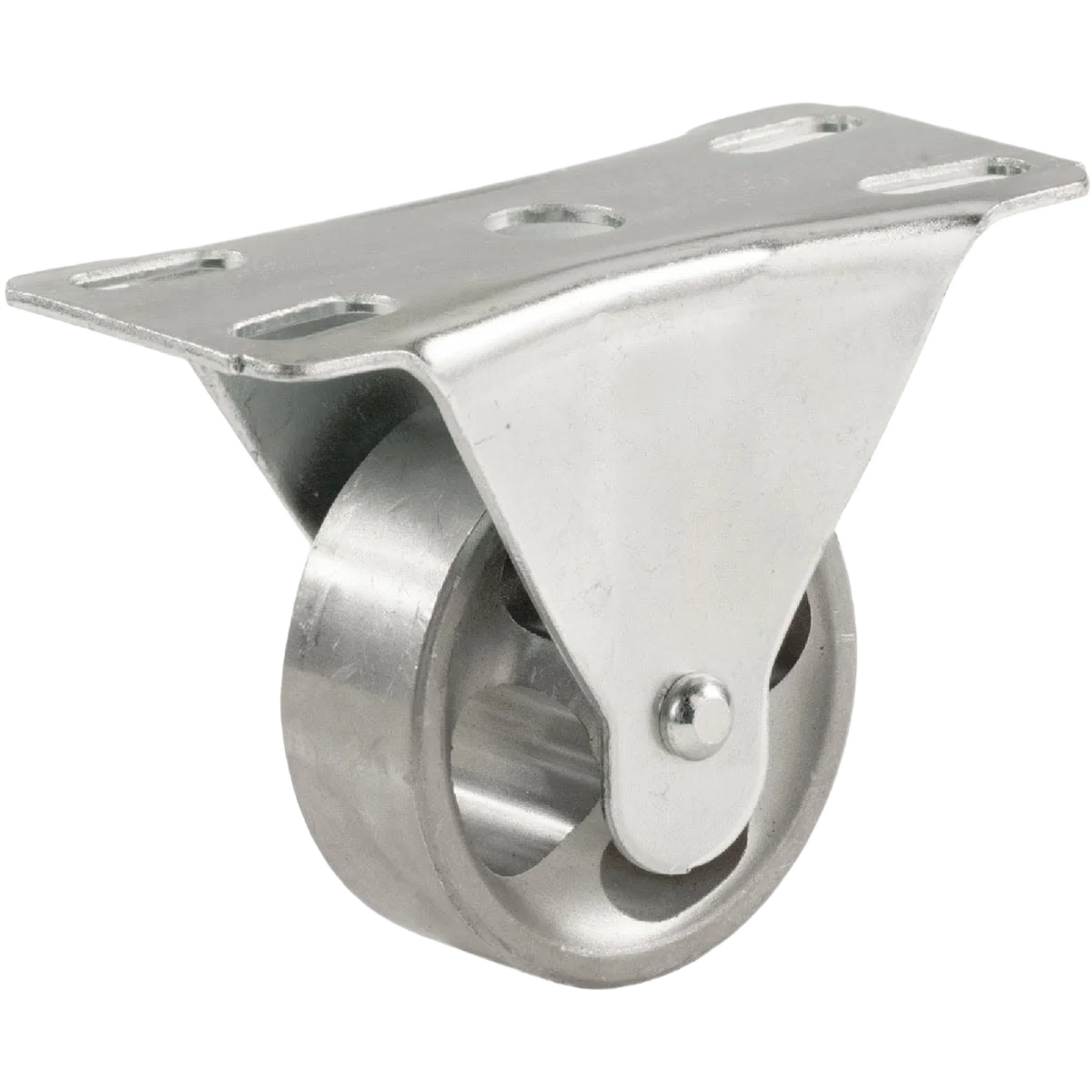 Quality Shepherd 2 In. General-Duty Cast-Iron Rigid Caster World-Class