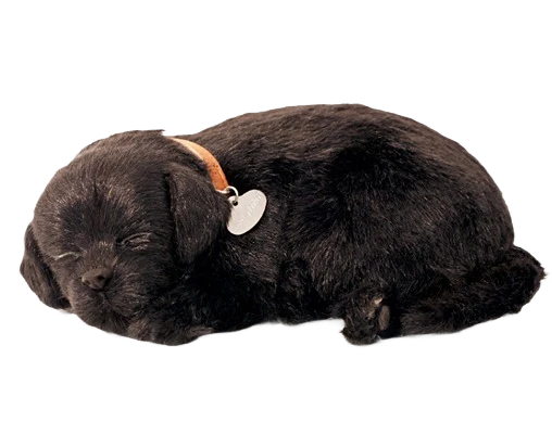 Excellent Petzzz Black Lab Pet Smooth