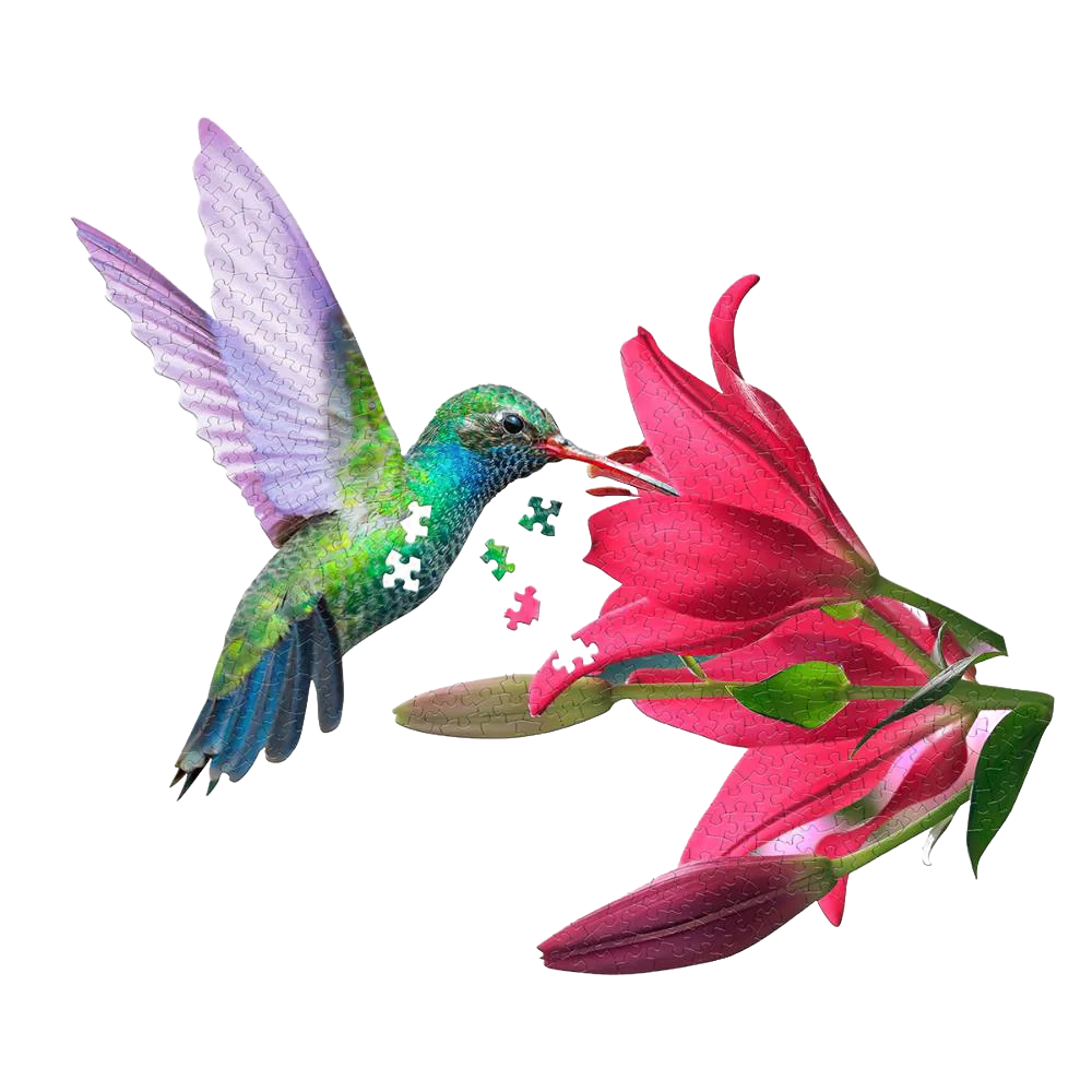 Excellent Shaped Jigsaw Puzzle – Hummingbird – 300pcs Consistent