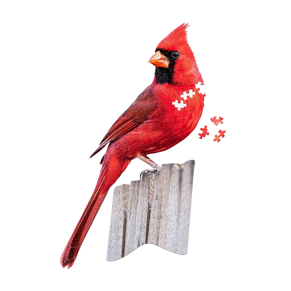 Soft Shaped Jigsaw Puzzle – Cardinal – 300pcs Effective