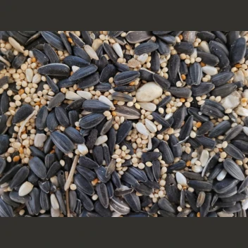 Contemporary Oliger Seed Wild Bird Banquet 15 lb. Premium Material
