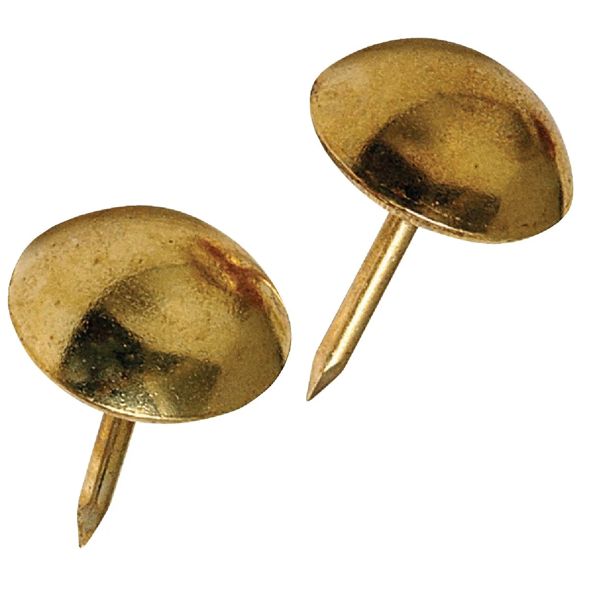 Elite Anchor Wire Corp Large Brass Furniture Nails 25-Ct High-Grade