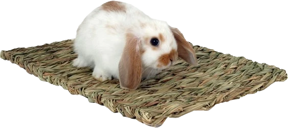 Sustainable Marshall Pet Woven Grass Mat 13.5×10.5 In Optimized
