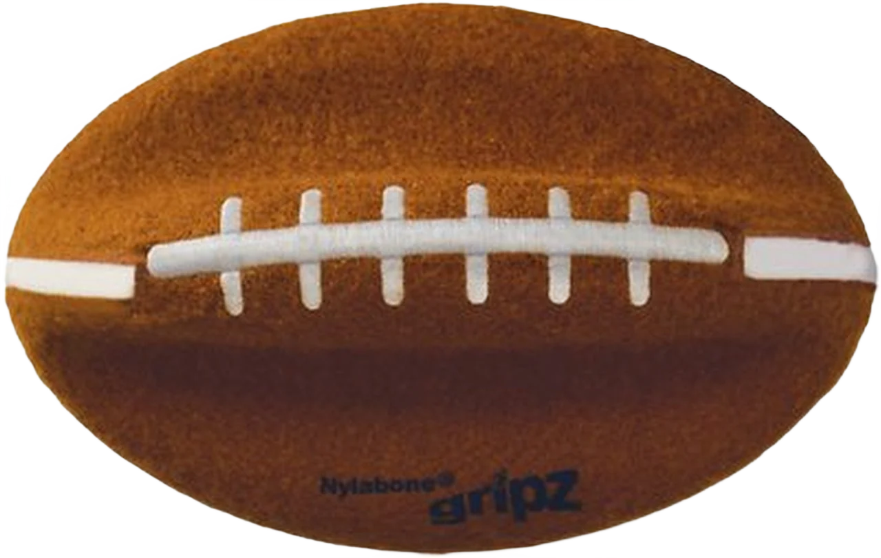 Organic Nylabone Large Power Play Gripz Football Authentic