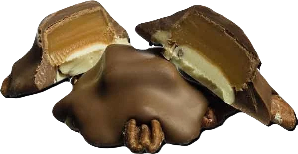 Elegant Lil’ Turtles Chocolate and Caramel Turtle 1.9 oz. Sophisticated