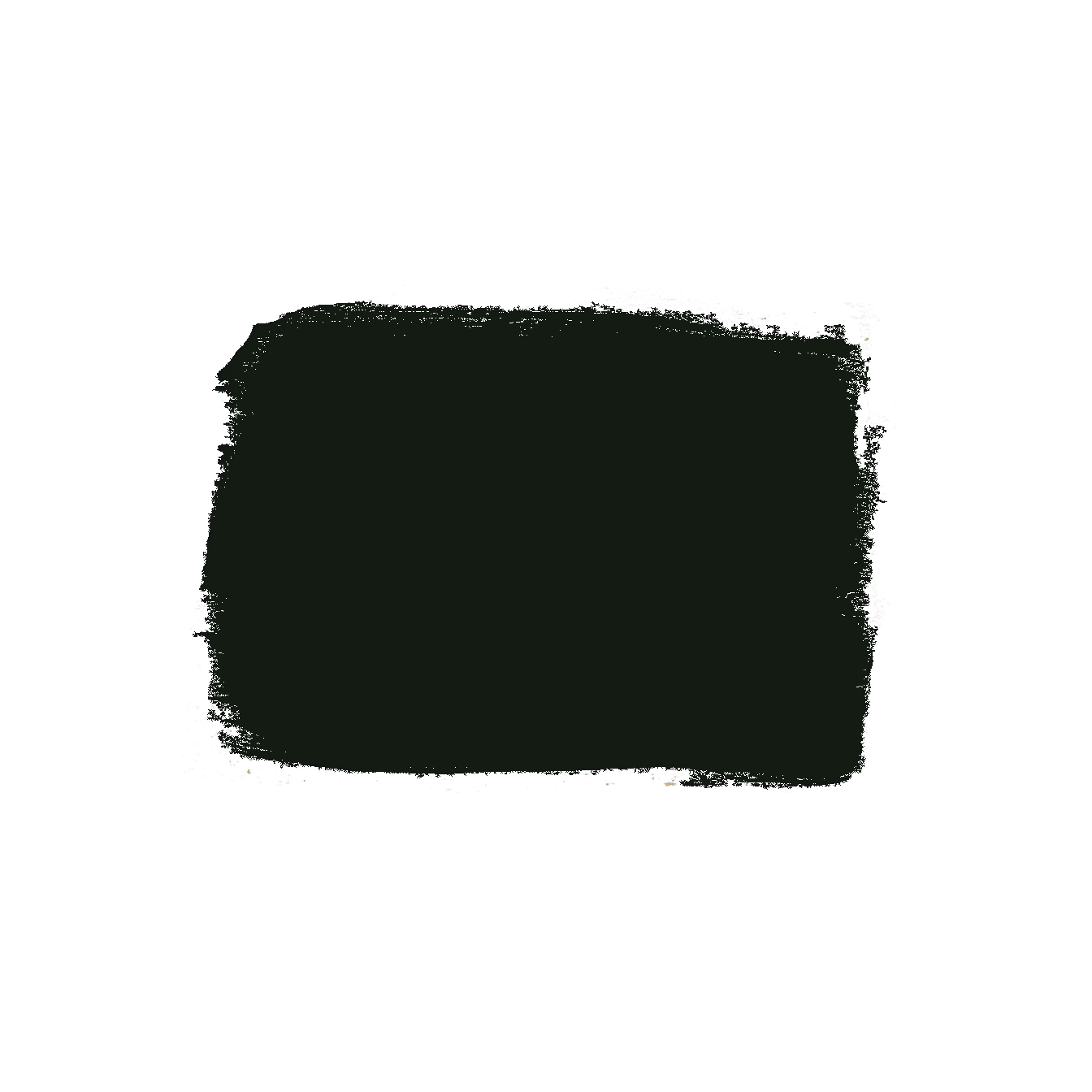 Casual Olde Century Colors Lamp Black Acrylic Latex Paint 1 Quart Pure