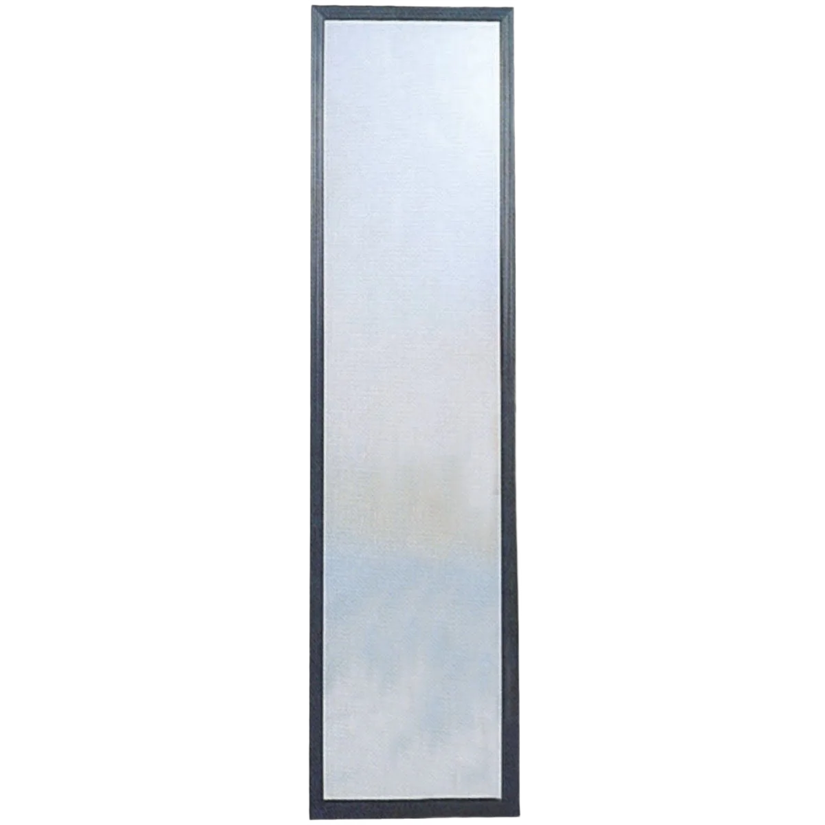 Specialty Home Decor Innovations Suave Black Plastic Door Mirror 49 in. Durable