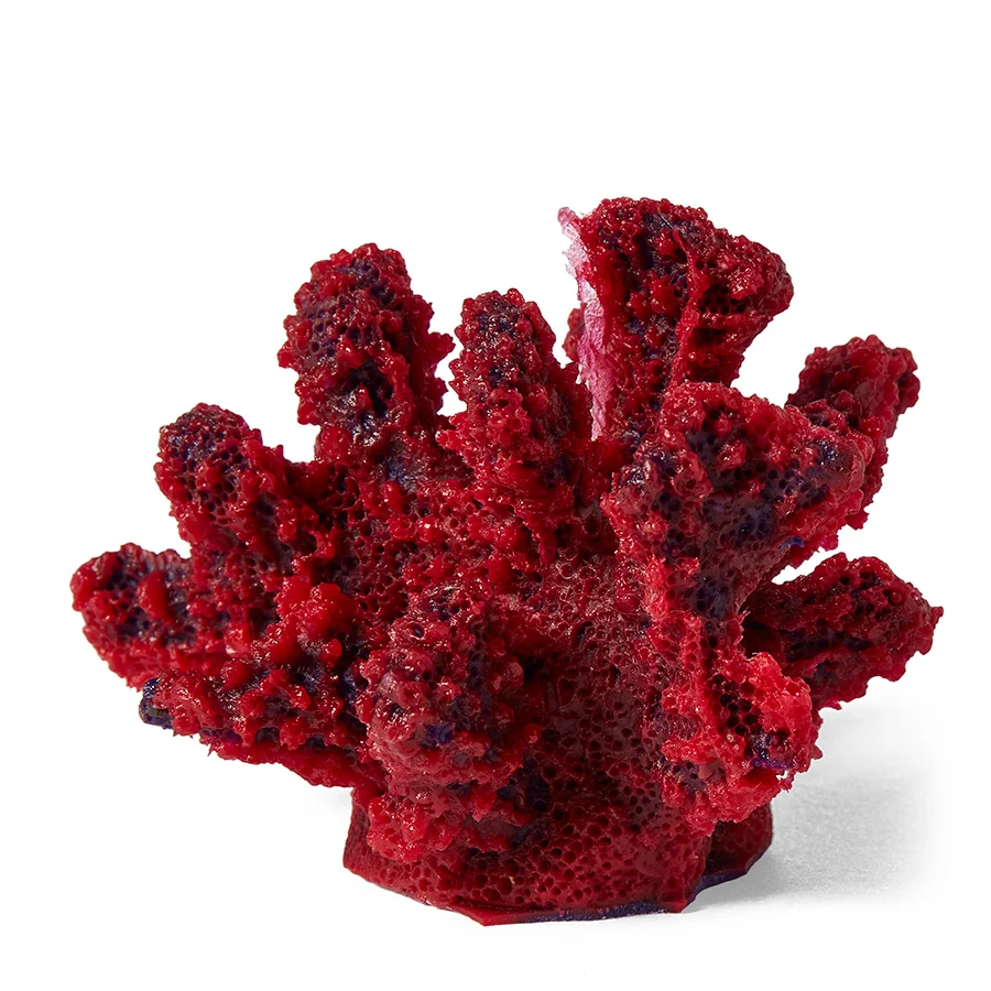 Efficient Pets at Home Branch Coral Aquarium Ornament Mini Red Original