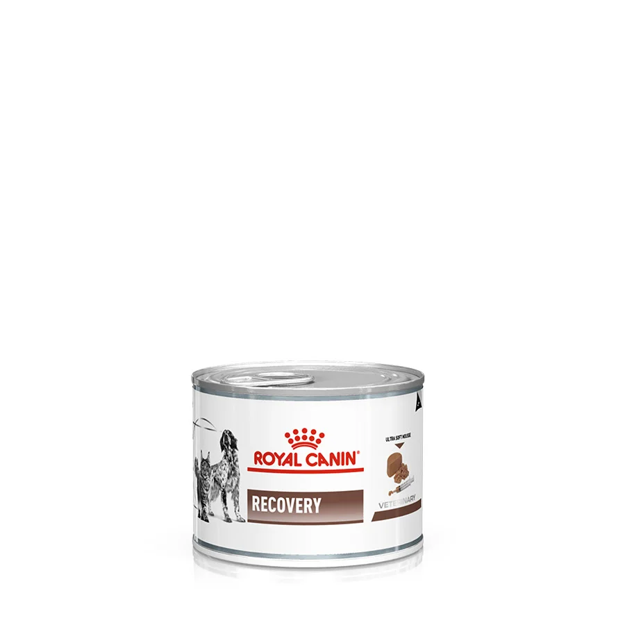 Genuine Royal Canin Veterinary Wet Adult Dog Cat Food 12x195g Long-Lasting