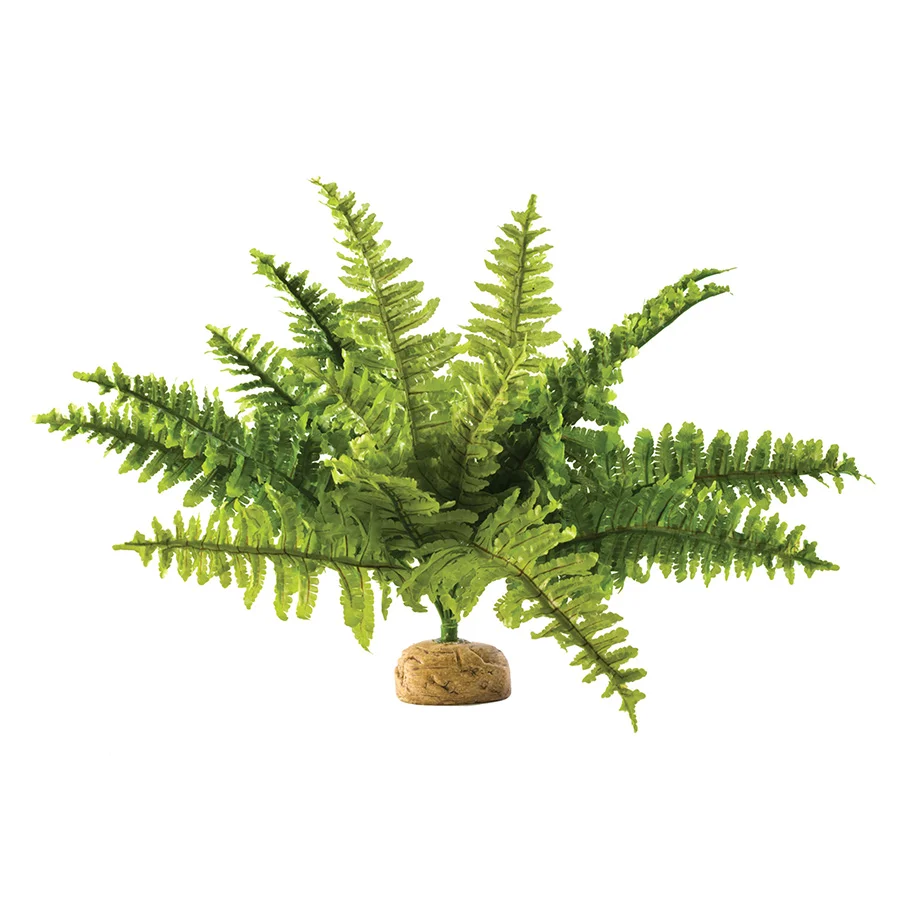 Minimalist Exo Terra Boston Fern Rainforest Plant Soft