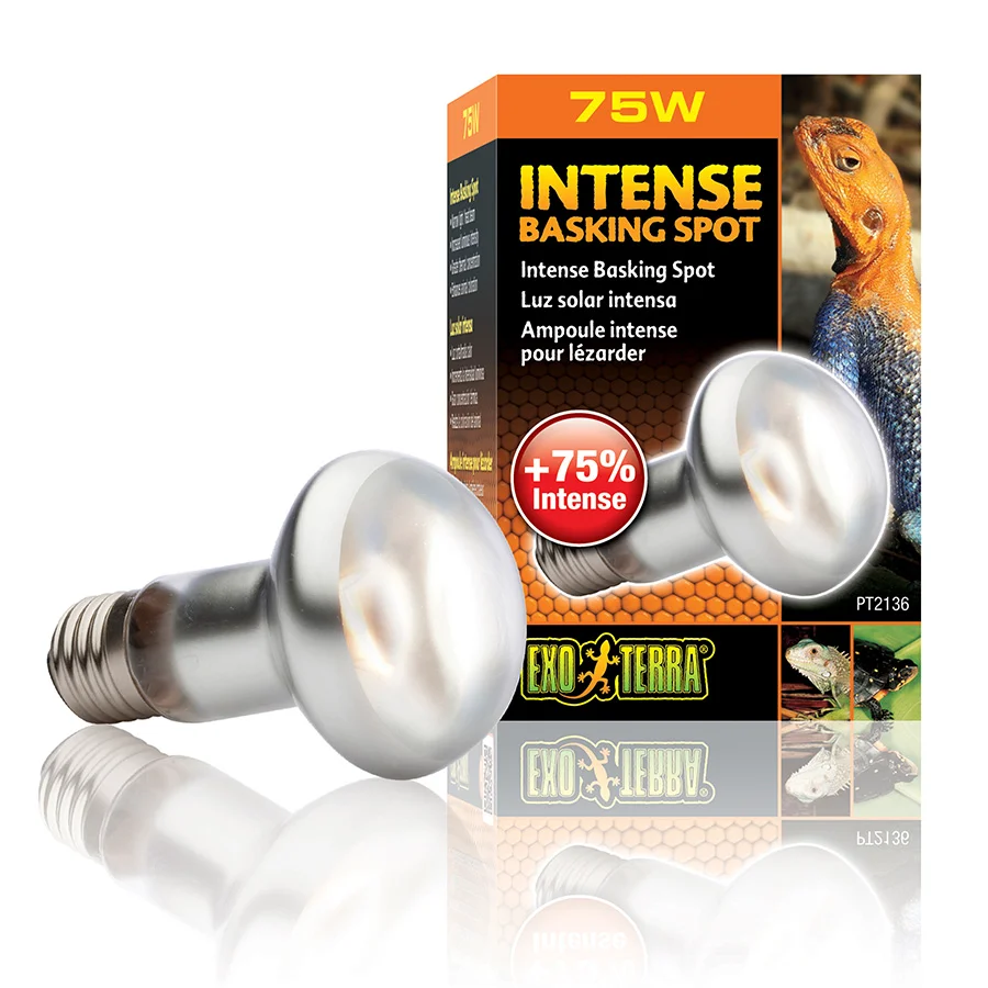 Durable Exo Terra Reptile Intense Basking Spot Lamp 75W Smooth