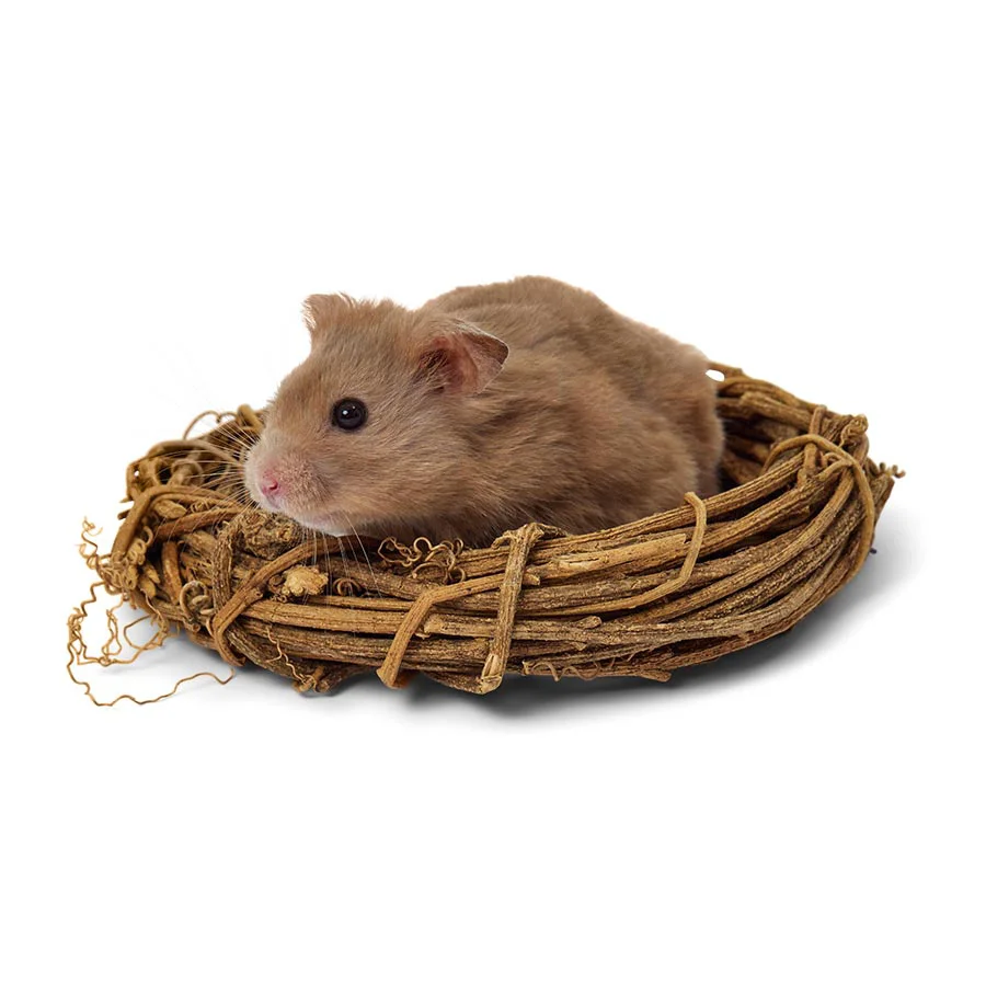 Flexible Pets at Home Small Animal Vine Ring Elite
