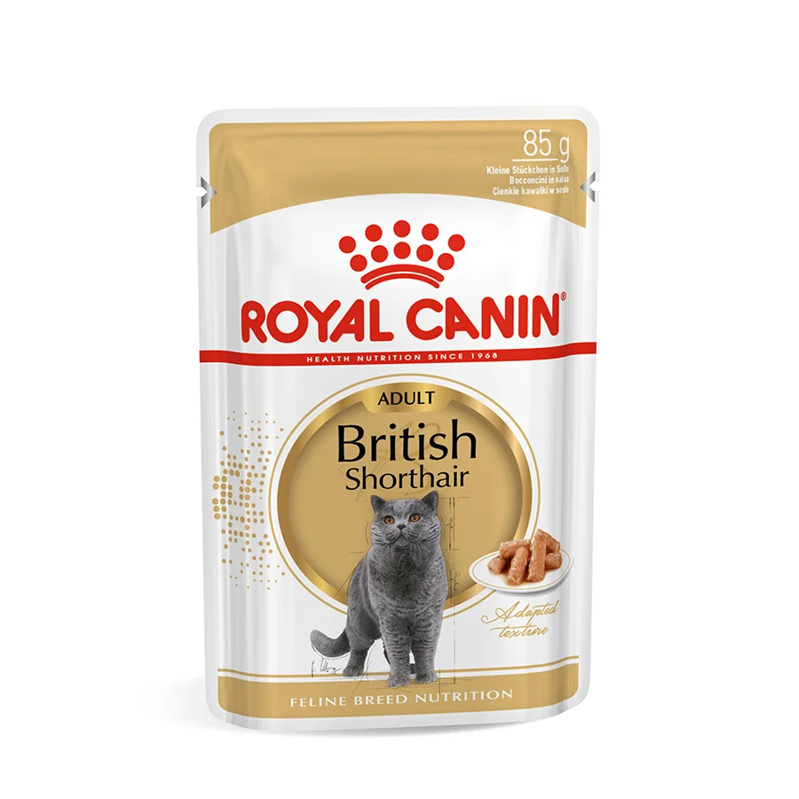 Responsible Royal Canin British Shorthair Adult Wet Cat Food 12x85g Versatile