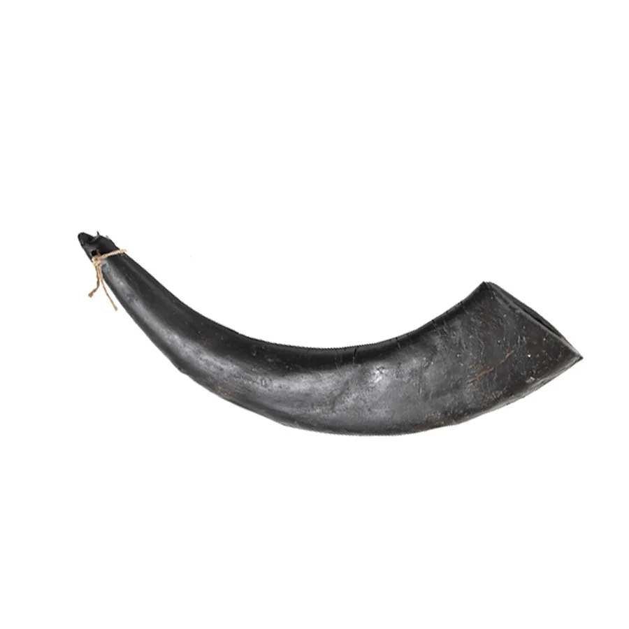Detailed Hollings Jumbo Buffalo Horn Dog Chew Genuine