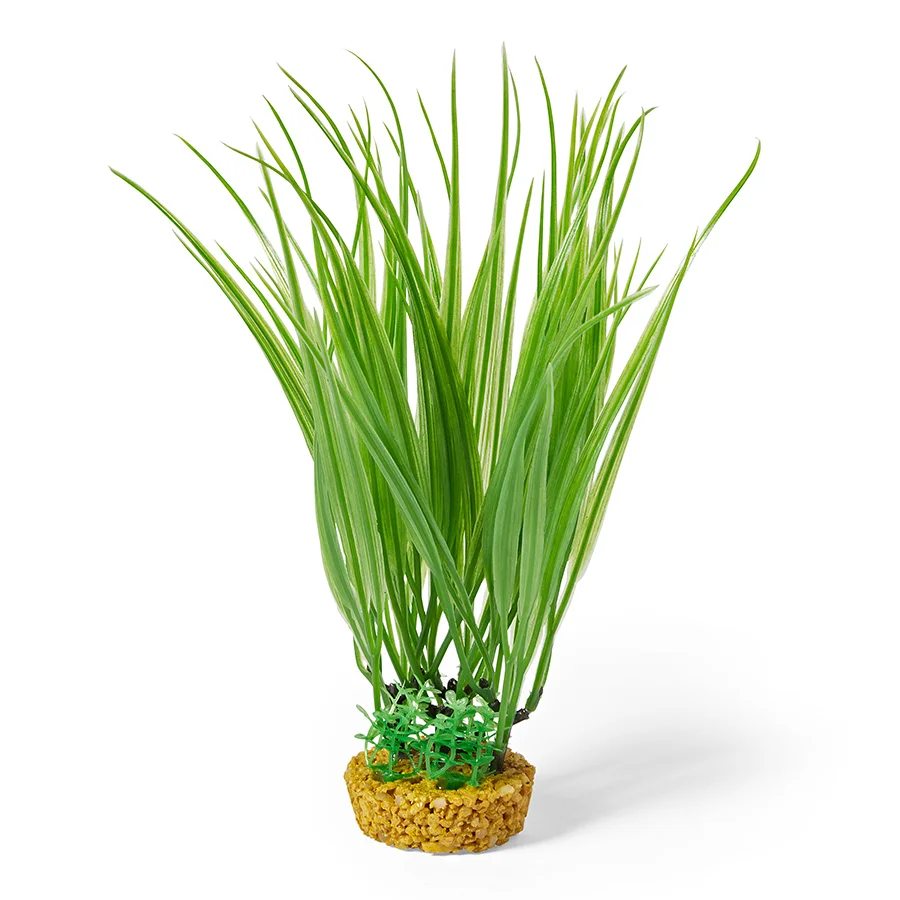 Safe Pets at Home Ecoscape Gravel Base Green Rush Aquarium Plant Ornament Medium Stylish
