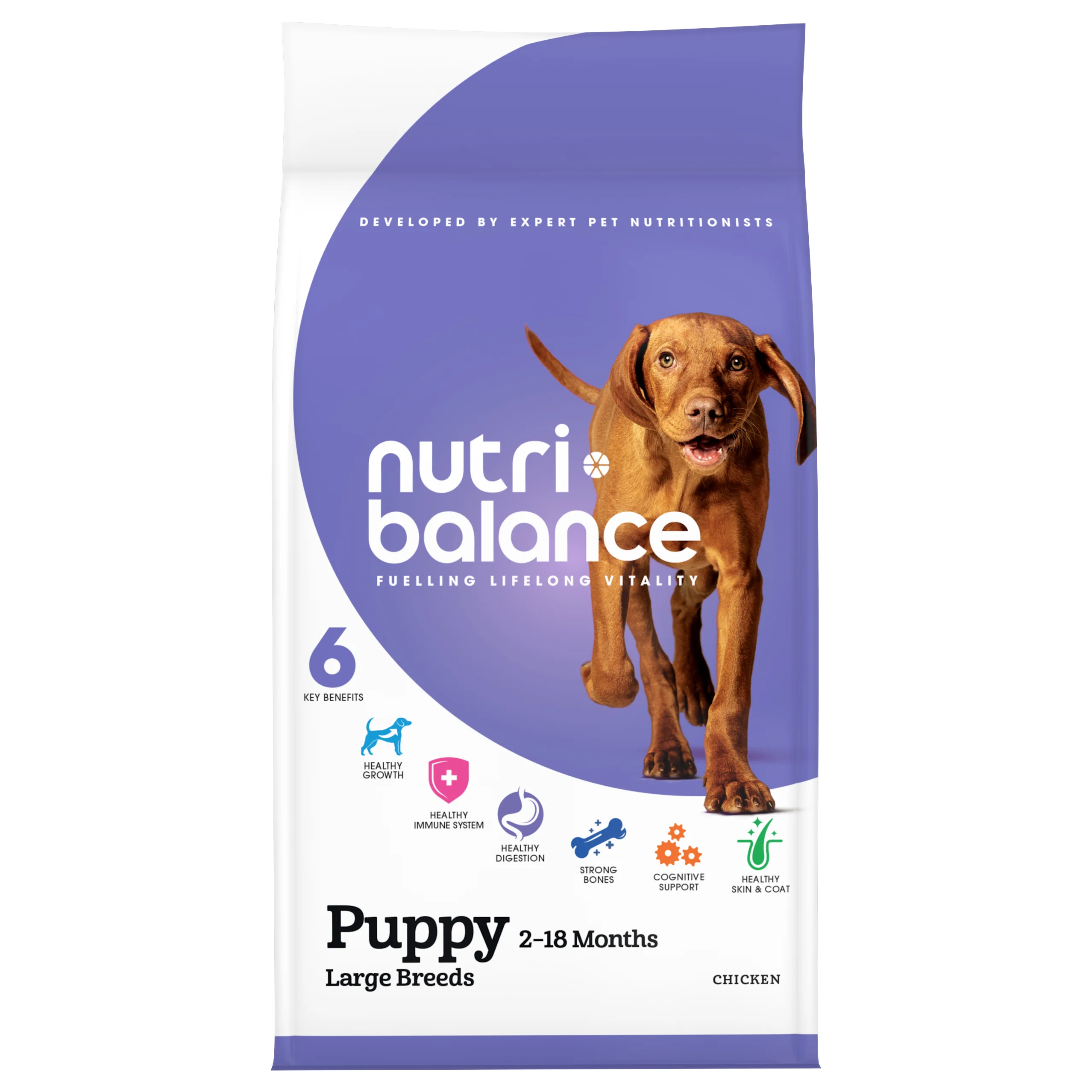 User-Friendly nutribalance Large Breed Puppy Dry Dog Food Chicken Advanced