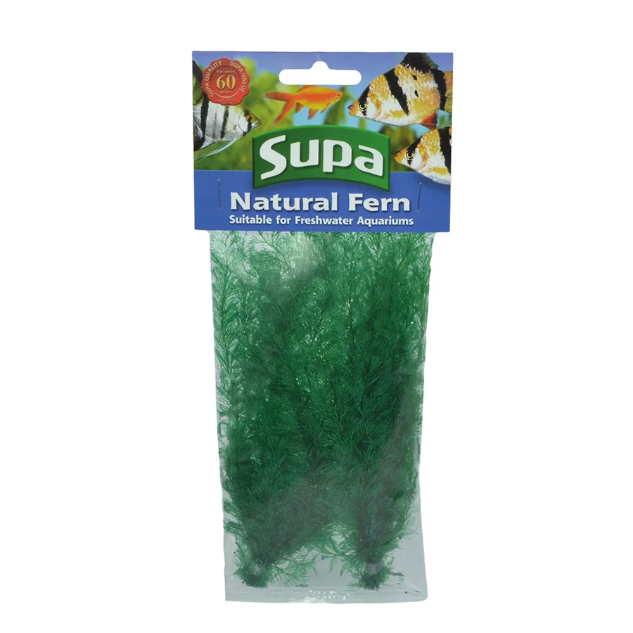 Dependable Supa Natural Fern Aquarium Plant Green Medium 2 Pack Modern