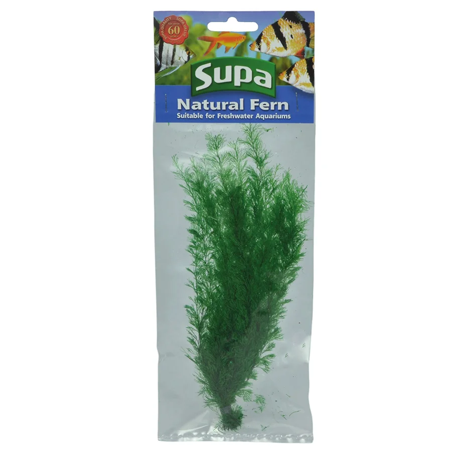 Safe Supa Natural Fern Aquarium Plant Green Large Genuine